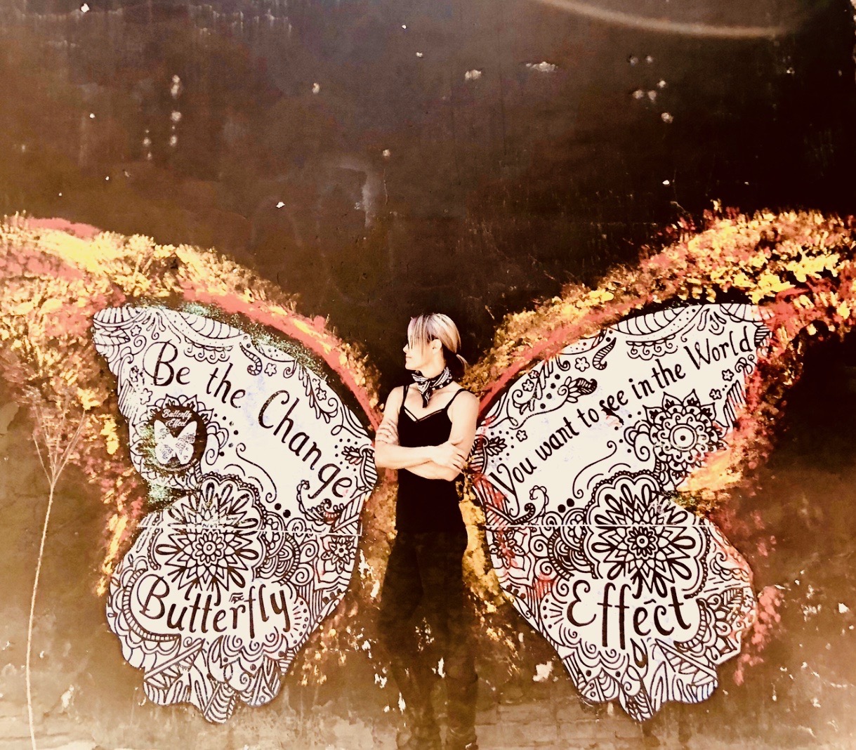 Butterfly Effect source image associated with the reported financing